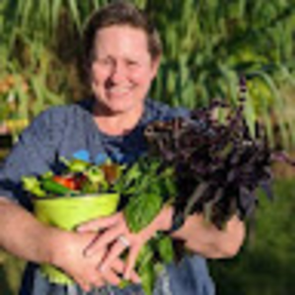 Meet your Posher, Dawn